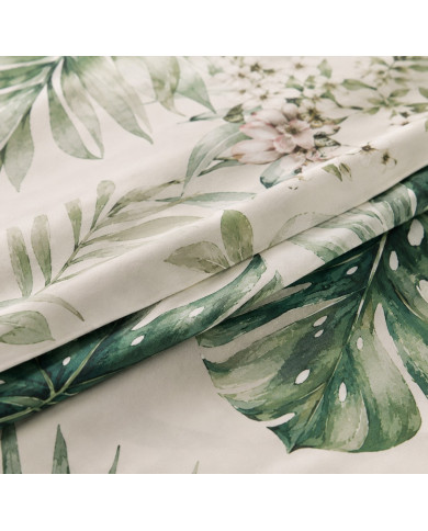 Monstera