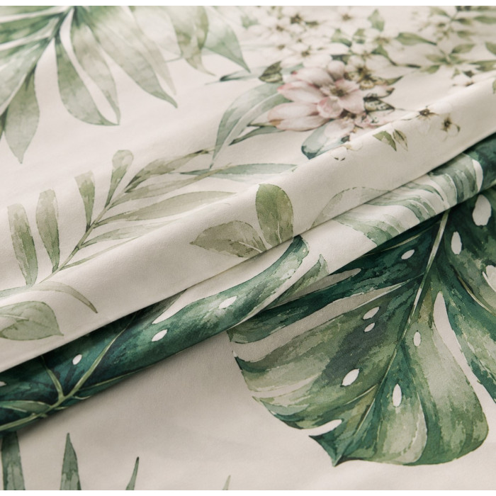 Monstera